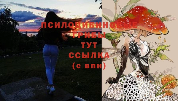 COCAINE Богородск
